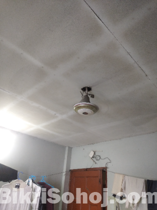 Siling fan big size kasmir full fresh